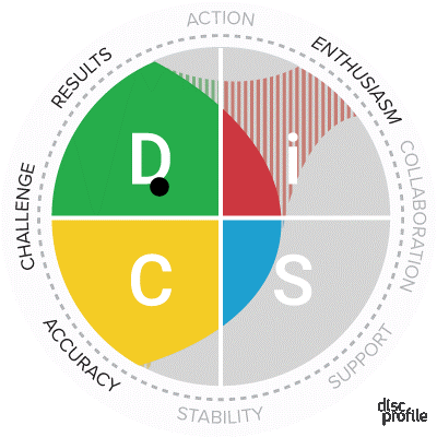 DISC Assessment